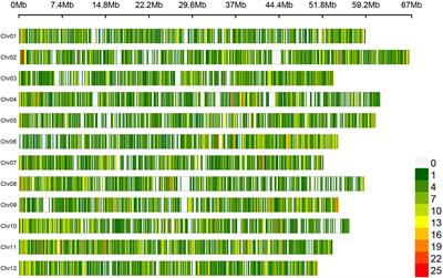 Development of a targeted genotyping platform for reproducible results within tetraploid and hexaploid blueberry